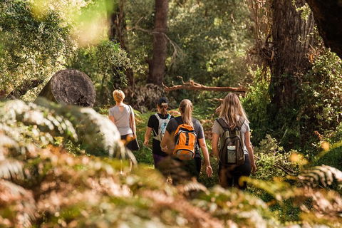 Half-Day Yanchep Ghost House Wilderness Guided Hike Tour - Restaurant Find 5