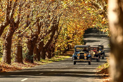 Blue Mountains Vintage Cadillac Tour With Local Guide - Restaurant Find 1