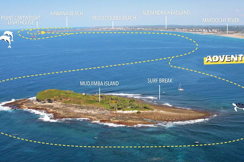 1.5HR Mudjimba Island Wildlife Safari - Restaurant Find 1