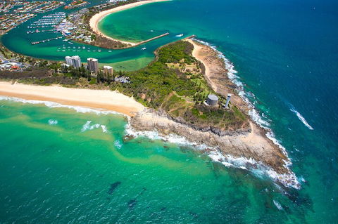 1.5HR Mudjimba Island Wildlife Safari - Restaurant Find 5