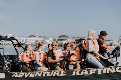 Adventure Whale Watching Tour Mooloolaba - Restaurant Find 4