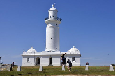 Sydney Sightseeing Bus Tours - Restaurant Find 5