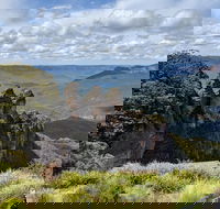 Blue Mountains Private Tour - wild kangaroos waterfalls and The Three Sisters - Restaurant Find