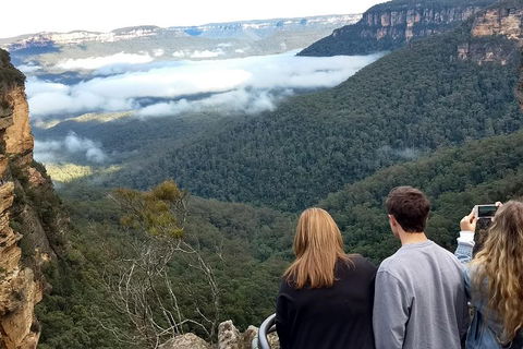 Blue Mountains Private Tour - Wild Kangaroos, Waterfalls And The Three Sisters - Restaurant Find 3