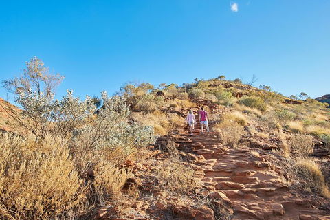 Kings Canyon Guided Rim Walk - Restaurant Find 1