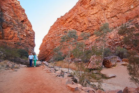 Best Of Alice Springs Full Day Tour - Restaurant Find 1