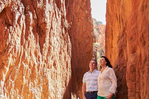 Best Of Alice Springs Full Day Tour - Restaurant Find 4