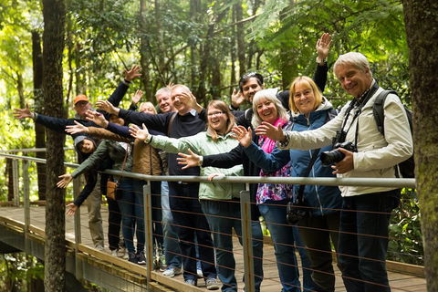 All Inclusive Blue Mountains Small-Group Day Trip From Sydney - Restaurant Find 5
