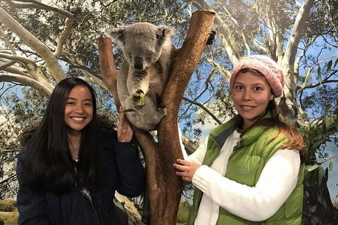The Ultimate Sydney Attractions Pass - Restaurant Find 1