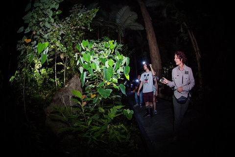 Let's Go Buggin & Let's Go Shroomin - Photography & Nature Walking Tours - Restaurant Find 4