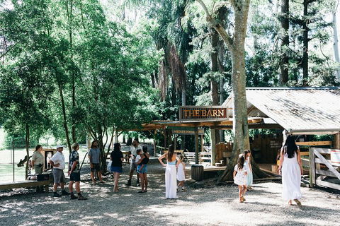 Tropical Fruit World Farm Full Tour - Restaurant Find 3