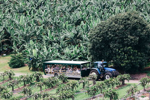 Tropical Fruit World Farm Full Tour - Restaurant Find 5