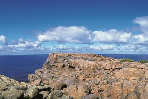 4 Day Tour: Albany, Margaret River, Valley Of The Giants TreeTop Walk From Perth - Restaurant Find 0