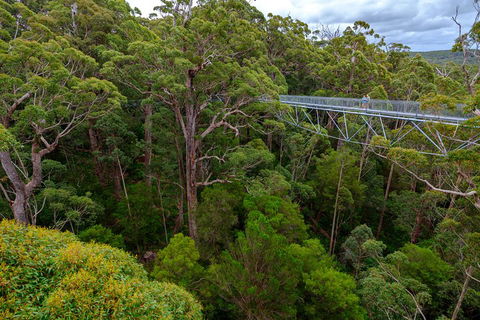 4 Day Tour: Albany, Margaret River, Valley Of The Giants TreeTop Walk From Perth - Restaurant Find 4