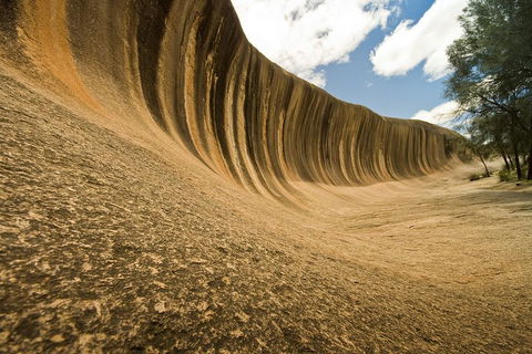 Wave Rock, York, Wildflowers, And Aboriginal Cultural Day Tour From Perth - Restaurant Find 0