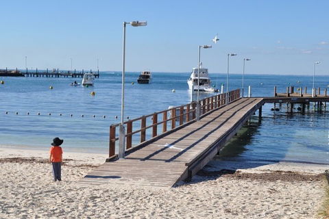 Monkey Mia Dolphins & Shark Bay Air Tour From Perth - Restaurant Find 0