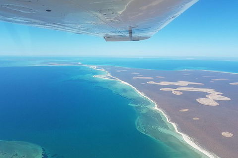 Monkey Mia Dolphins & Shark Bay Air Tour From Perth - Restaurant Find 2