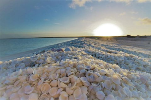 Monkey Mia Dolphins & Shark Bay Air Tour From Perth - Restaurant Find 3