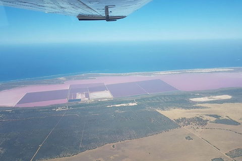 Monkey Mia Dolphins & Shark Bay Air Tour From Perth - Restaurant Find 5