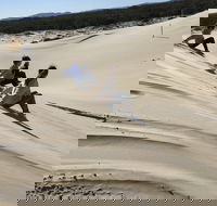 Port Stephens Bush Beach and Sand Dune 4WD Tag-Along Tour - Restaurant Find