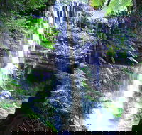 Mt Field National Park and Russell Falls from Hobart - Restaurant Find