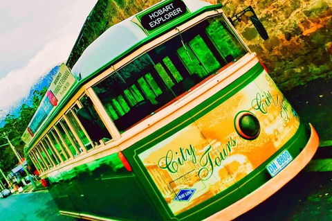 Hobart Half-Day Sightseeing Coach Tram Tour - Restaurant Find 5