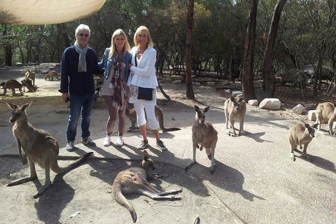 Private Scenic Day Trip From Sydney For Families And Friends - Restaurant Find 1