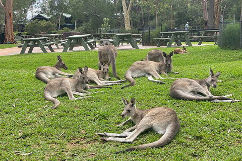 Private Scenic Day Trip From Sydney For Families And Friends - Restaurant Find 4