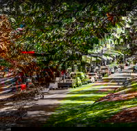 Fully Inclusive Blue Mountains Private Tour inc Scenic World  Featherdale entry - Restaurant Find