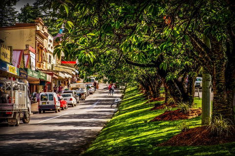 Fully Inclusive Blue Mountains Private Tour Inc Scenic World & Featherdale Entry - Restaurant Find 0