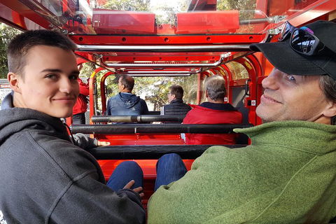 Fully Inclusive Blue Mountains Private Tour Inc Scenic World & Featherdale Entry - Restaurant Find 1