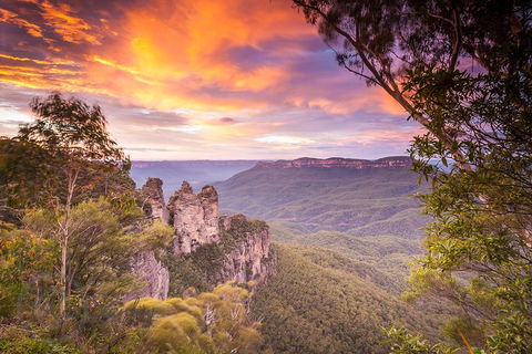 Fully Inclusive Blue Mountains Private Tour Inc Scenic World & Featherdale Entry - Restaurant Find 5