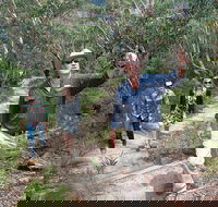 Small-Group Blue Mountains Tour with Bush Walks and Featherdale Wildlife Park - Restaurant Find