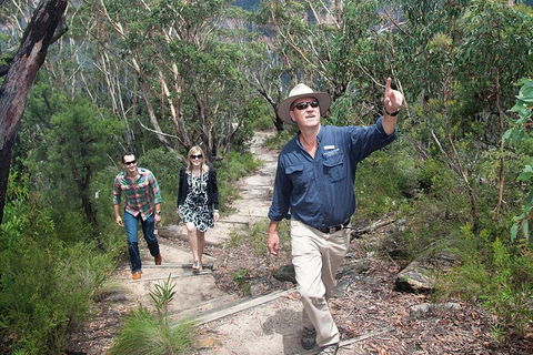 Small-Group Blue Mountains Tour With Bush Walks And Featherdale Wildlife Park - Restaurant Find 0