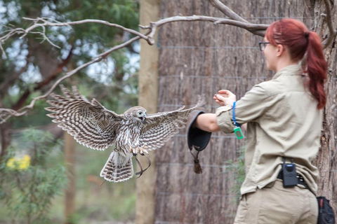Moonlit Sanctuary Wildlife Conservation Park Daytime General Entry Ticket - Restaurant Find 1
