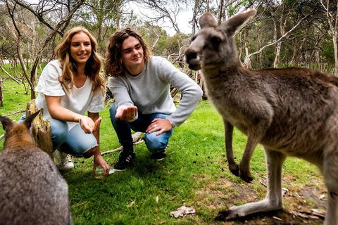 Moonlit Sanctuary Wildlife Conservation Park Daytime General Entry Ticket - Restaurant Find 2