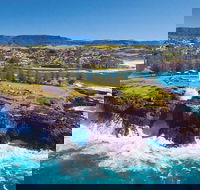 Sydney Wine Tour  Wine Waves  Wildlife in South Coast - Restaurant Find