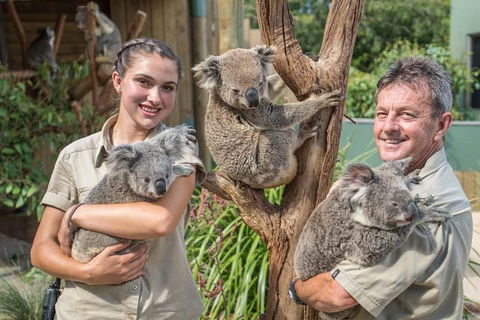 Sydney Wine Tour â€“ Wine, Waves & Wildlife In South Coast - Restaurant Find 2