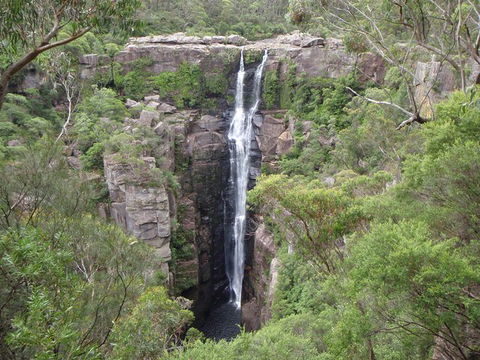 Sydney Wine Tour â€“ Wine, Waves & Wildlife In South Coast - Restaurant Find 3