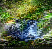 Day Tour in Mt. Field Mt. Wellington Bonorong Wildlife Sanctuary and Richmond - Restaurant Find