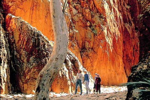 West MacDonnell Ranges Day Trip From Alice Springs - Restaurant Find 3