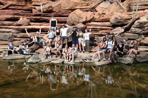 6-Day Coral Coaster From Perth To Exmouth One-Way Via Monkey Mia Ningaloo Reef - Restaurant Find 2