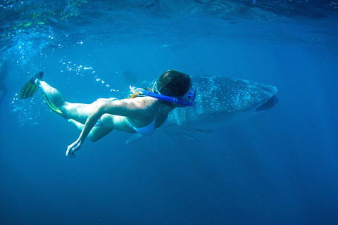 6-Day Coral Coaster From Perth To Exmouth One-Way Via Monkey Mia Ningaloo Reef - Restaurant Find 3