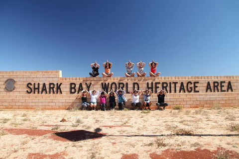 6-Day Coral Coaster From Perth To Exmouth One-Way Via Monkey Mia Ningaloo Reef - Restaurant Find 4