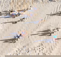 Unlimited Sandboarding - Restaurant Find