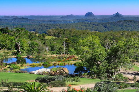 Sunshine Coast Hinterland Rainforest, Views And Montville Day Tour Inc. Lunch - Restaurant Find 5