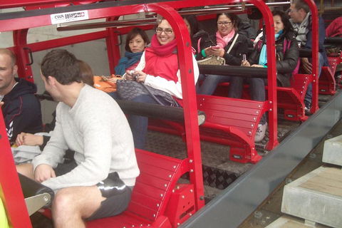 Blue Mountains Private Tour With Wildlife Park And River Cruise - Restaurant Find 0