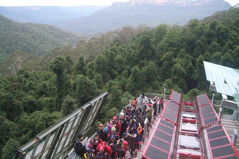 Blue Mountains Private Tour With Wildlife Park And River Cruise - Restaurant Find 1