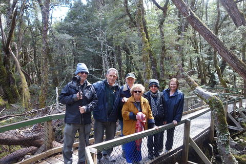 Blue Mountains Private Tour With Wildlife Park And River Cruise - Restaurant Find 2