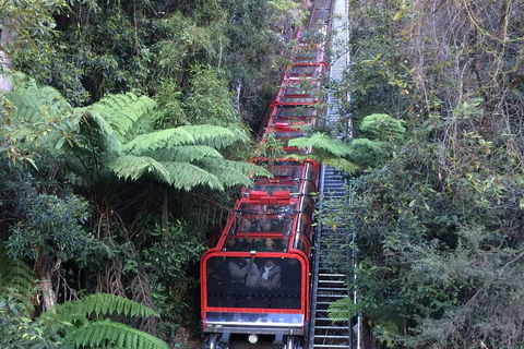 Blue Mountains Private Full-Day Tour From Sydney With Cruise - Restaurant Find 5
